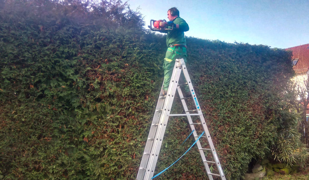 Jos Sarneel Alzenau Gartengestaltung Heckenschnitt