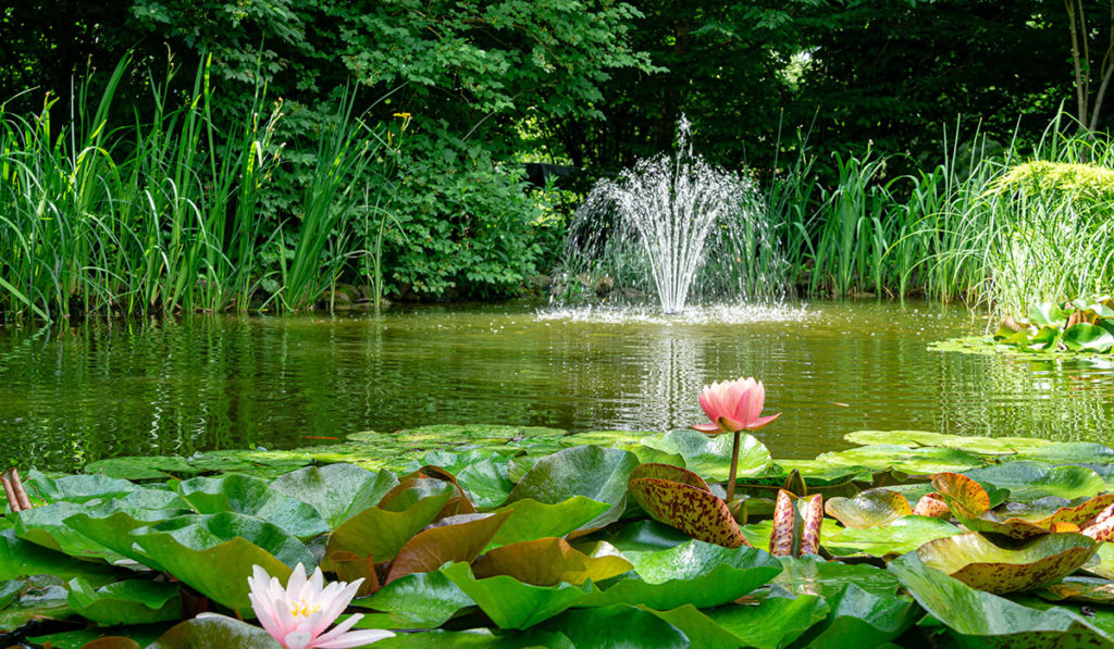 Gartenteich Jos Sarneel Alzenau
